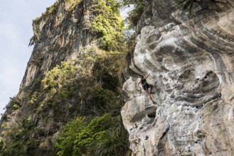 Climber, Tonsai Beach, Ao Nang, Krabi, Thailand
