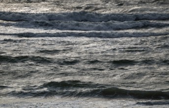Sea waves, surf, near Hvide Sande, North Sea, Denmark