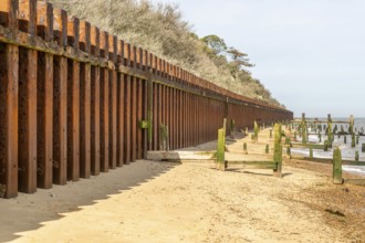 Steel sheet piling sea wall old broken wooden groynes coastal defences, Bawdsey, Suffolk, England,