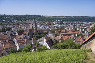 View from the Seilergang, defence wall of Esslingen Castle, down to the old town of Esslingen with