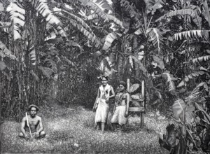Plantation, labourer on Samoa, c. 1880, digitally enhanced reproduction of a 19th century model,