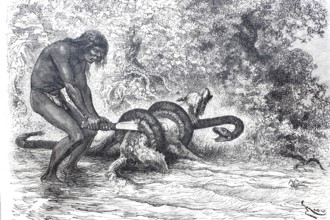 A South American Indian frees his dog from the stranglehold of a boa constrictor constrictor snake,