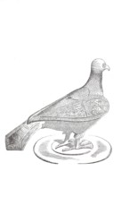 Religious objects of worship, persiterium, vessel of the Eucharist, also called columba, host dove