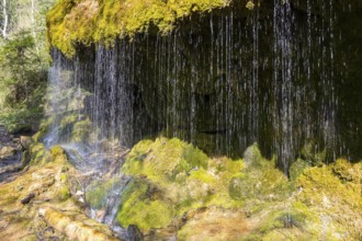 Dietfurt Waterfall, a moss waterfall in the Wutach Gorge, Black Forest, Baden-Württemberg, Germany