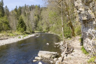 River Wutach in the Wutach Gorge, Black Forest, Baden-Württemberg, Germany