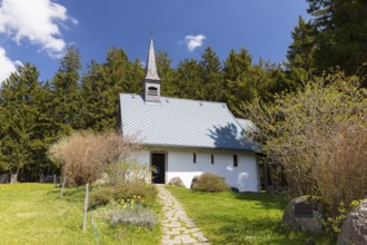 St Martin's Chapel near the Kolmenhof and the Breg spring, Furtwangen in the Black Forest,