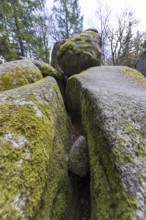 Granite rock Günterfelsen near the source of the Danube, Furtwangen in the Black Forest,