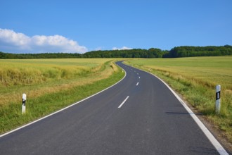 Rural road winds through green fields under a blue sky with white clouds, summer, Marktheidenfeld,