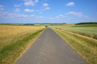Straight road through wide fields under a blue sky with clouds, summer, Thüngen, Main Spessart