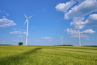 Three wind turbines stand in a large open barley field under a clear sky, summer, Retzstadt, Main