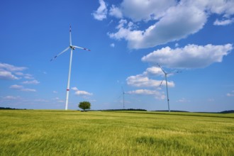 Wind turbines standing in an open grain field under a clear blue sky with white clouds, summer,