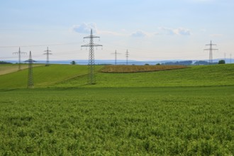 Extensive green fields with electricity pylons and a blue sky with clouds, Marktheidenfeld,