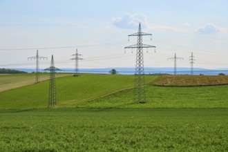 Green fields with a row of electricity pylons under a blue sky, Marktheidenfeld, Bavaria, Germany
