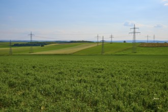 Wide green fields with several electricity pylons and a blue, slightly cloudy sky, Marktheidenfeld,