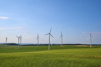 Wind turbines on green fields of grain under a blue sky, a symbol for renewable energy, summer,