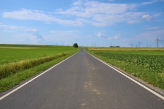 A straight country road between green fields under a blue sky with white clouds, Marktheidenfeld,