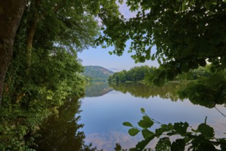 A lushly overgrown bank offering a view of a calm, reflecting river, summer, Grünenwört, Wertheim,