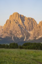 Impressive rock formations in the evening light of the Dolomites with summer meadow in front, Alpe