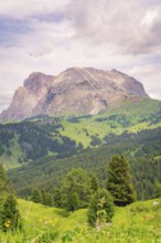 Mountain panorama with green forests and meadows under a cloudy sky, Alpe di Siusi, Dolomites,