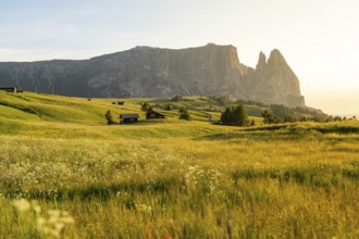 Mountain landscape in warm light shortly in front of sunset, Schlehrn, Alpe di Siusi, Dolomites,
