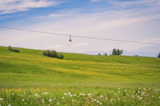 Green meadow with flowers and cable car in front of a wide sky, Alpe di Siusi, Dolomites, South