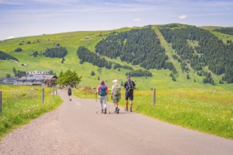 Group of hikers on a path through a green mountain landscape, Alpe di Siusi, Dolomites, South