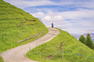 A winding gravel path amidst a hilly, natural landscape, Alpe di Siusi, Dolomites, South Tyrol,