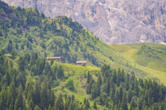 Wooden huts nestled in a wooded, mountainous landscape with a rocky background, Alpe di Siusi,