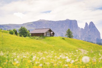 Alpine hut on a green meadow in front of a mountain range under a blue sky, Alpe di Siusi,