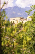 A castle in the middle of a green landscape, in front of a mountain panorama, Botanical Garden, The