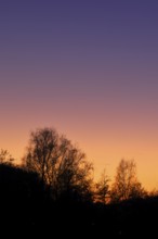Sunset with beautiful red sky and forest silhouette, silhouette photograph, Wilnsdorf, North