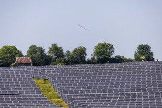 Open-space photovoltaic system, solar park near Nellingen in the Swabian Alb. Glider. Nellingen,