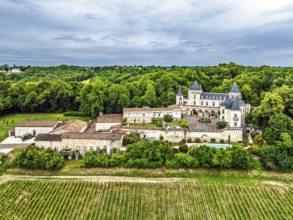 Castle of La Riviere, Vineyard Chateau de La Riviere from a drone, Bordeaux, France
