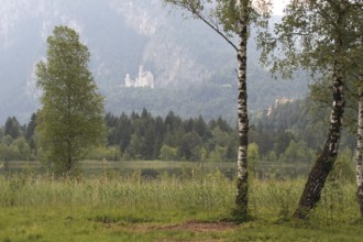 Neuschwanstein Castle near Füssen in summer, with the Schwansee lake in the foreground, Allgäu,