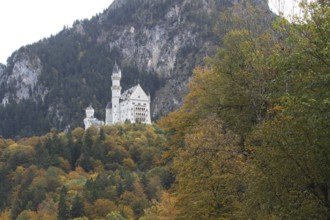 Neuschwanstein Castle near Füssen in autumn, Allgäu, Bavaria, Germany, Allgäu, Bavaria, Germany
