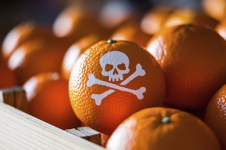 Close up of orange fruit with painted skull symbol in rustic crate, illustrating pesticide