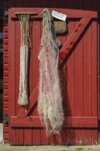 Rope and fishing net on a wooden door, trammel net, harbour, Flensburg, Flensburg Fjord, Baltic