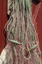 Fishing net on a wooden door, trammel net, harbour, Flensburg, Flensburg Fjord, Baltic Sea,
