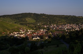 View from Rotenberg, Württemberg, to Urbach, Rems Valley, vineyards, evening light, Stuttgart,
