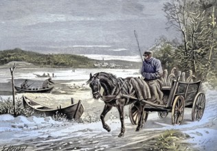 The capture and safe keeping of the Havel swans at sub-zero temperatures, Germany, original drawing