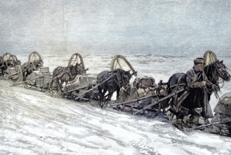 Russian tea transport by horse-drawn sleigh in winter, illustration, published 1890, reproduction,