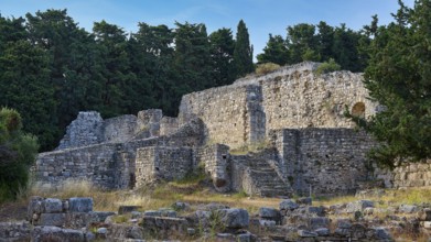 Stone-walled ruins surrounded by trees in a historic setting, Ancient Therapy Centre, Asklipion,
