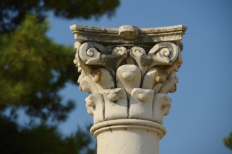 Close-up of an ornate capital in front of a clear sky, Temple of Apollo, Corinthian columns,