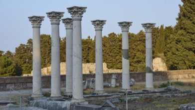 Ancient columns and ruins in the warm light of the evening surrounded by trees, Temple of Apollo,