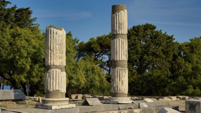 Two massive stone columns standing in a green, tree-filled environment, Asklepios Temple,
