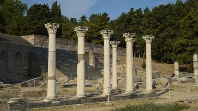 Ancient column structure in front of a dense forest, shining in daylight, Temple of Apollo,