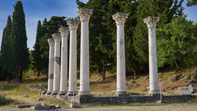Group of ancient columns in front of a wooded landscape under a blue sky, Temple of Apollo,