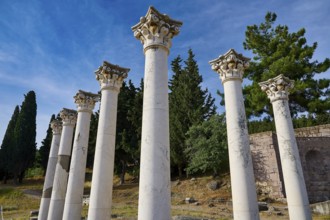 View of ancient columns with blossoming trees and blue sky in the background, Temple of Apollo,