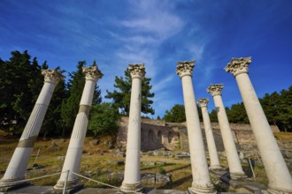 Ancient columns grouped in front of a blue sky and bulbous trees, Temple of Apollo, Corinthian