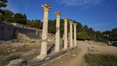Row of ancient columns rises in a historic site surrounded by trees, Temple of Apollo, Corinthian